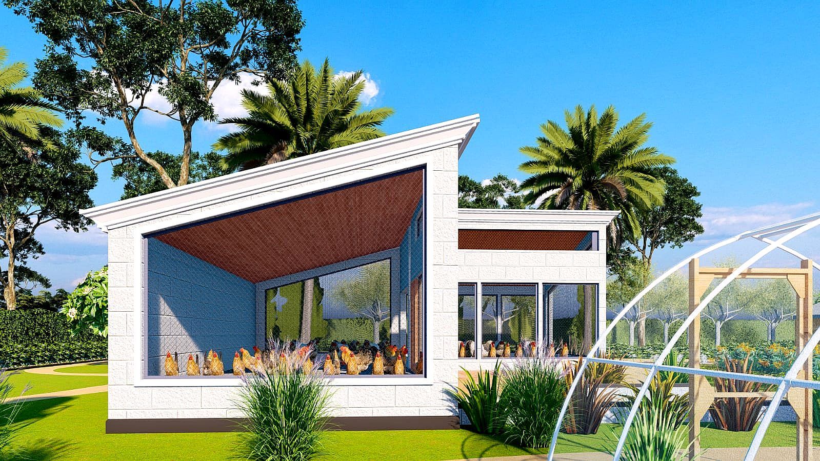 Chicken Coop Design